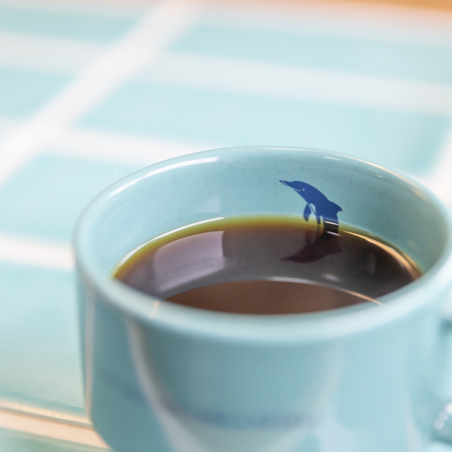 壱岐イルカパーク＆リゾート