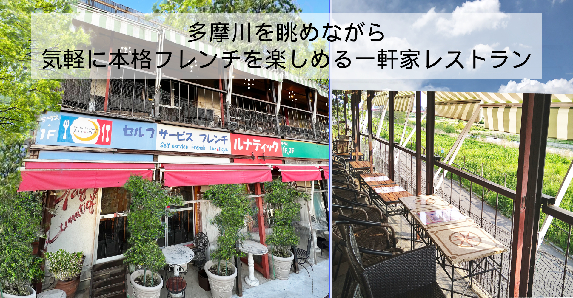 TOKIO フレンチ ルナティック