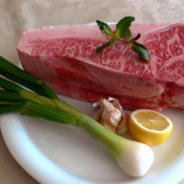 un ドッグカフェ