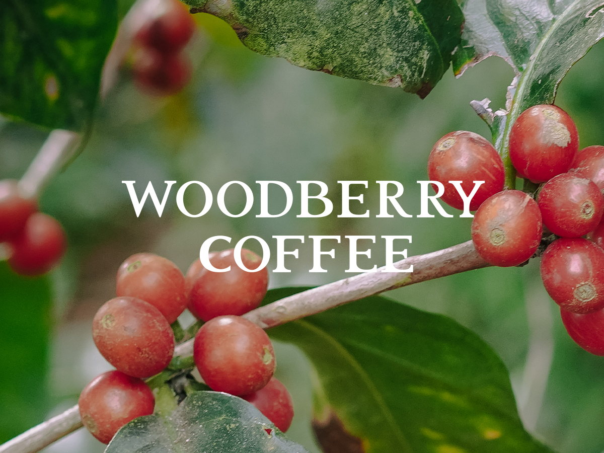 WOODBERRY COFFEE 荻窪店