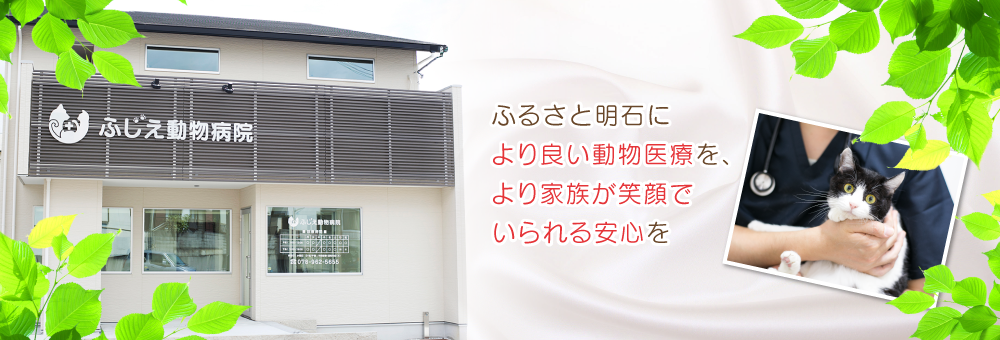 ふじえ動物病院