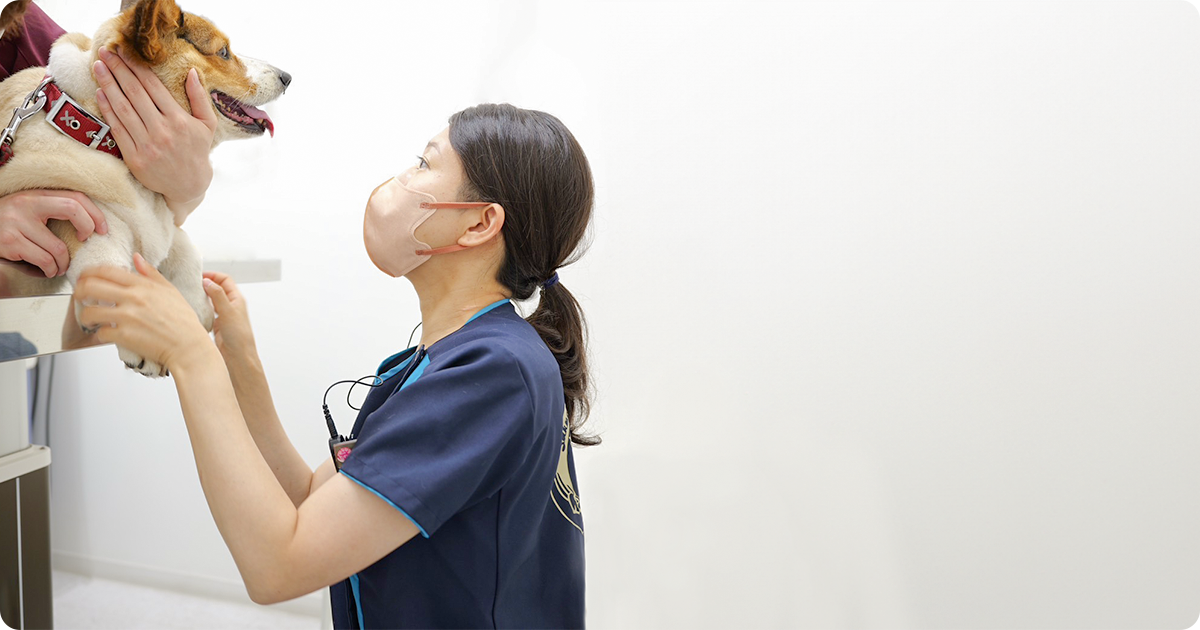 佐久平マール動物病院