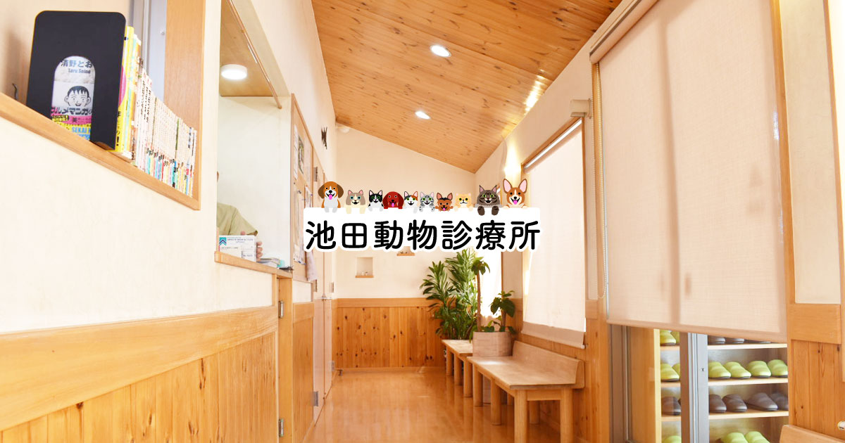 池田動物診療所