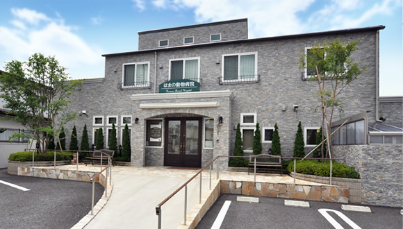 はまの動物病院