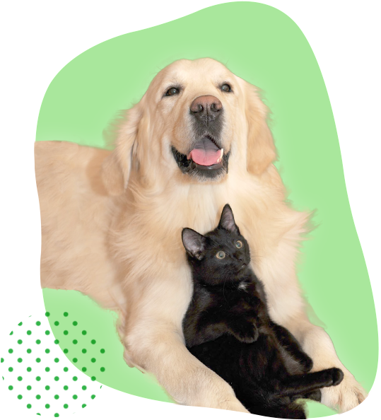 鹿ノ台動物病院