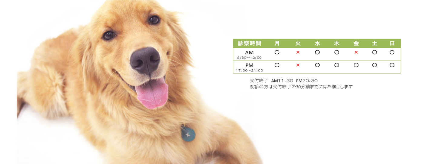 きよときペットクリニック