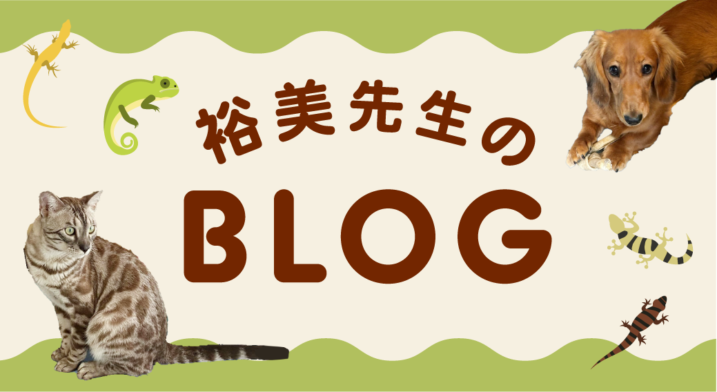 わたりだ動物病院