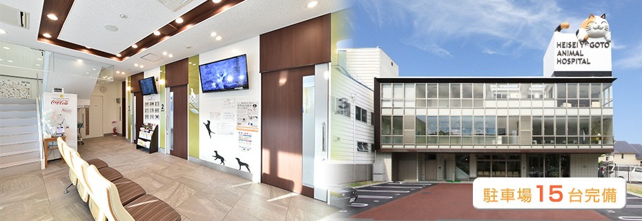 平成八事動物病院