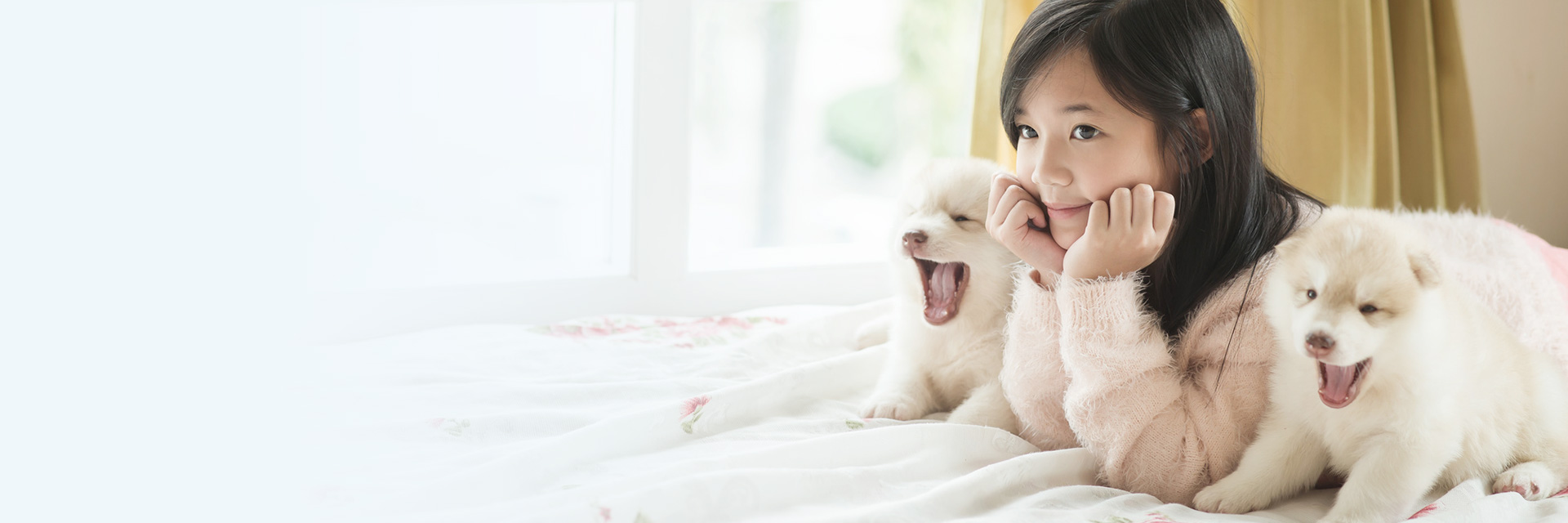 みなづき動物病院