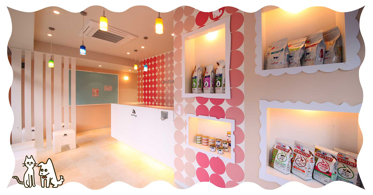 野いちご動物病院