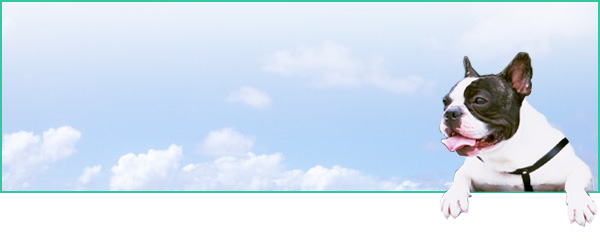 稲城大橋動物病院