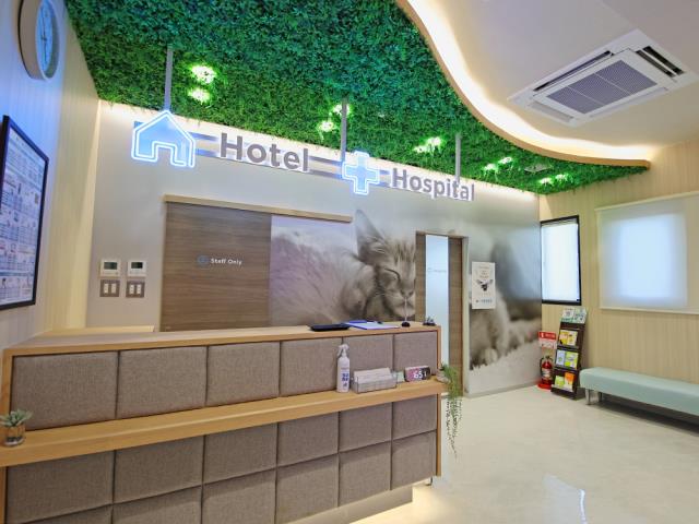 海動物病院　川越往診所