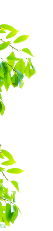 アニマル・アイケア東京 安部動物病院