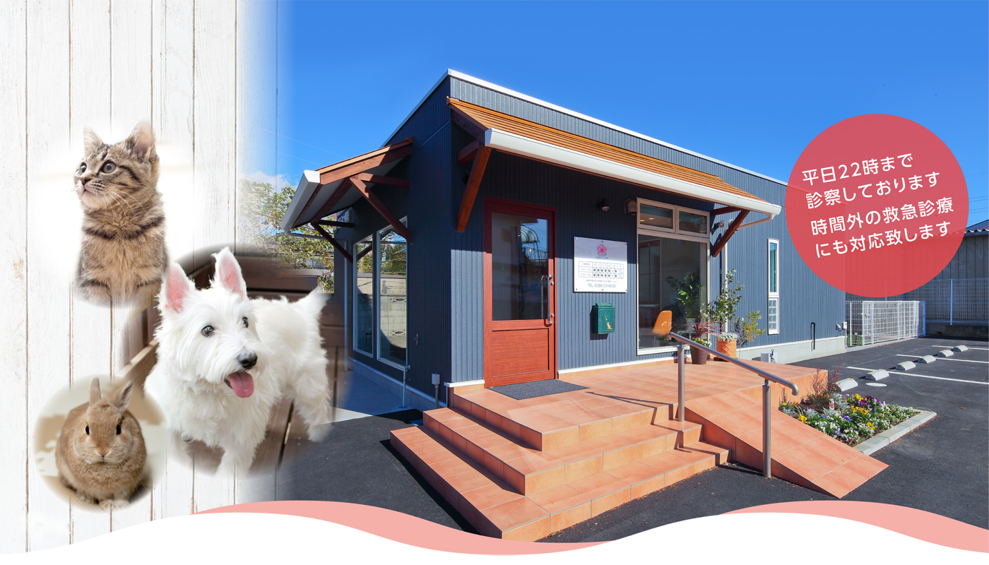 古河花桃どうぶつ病院