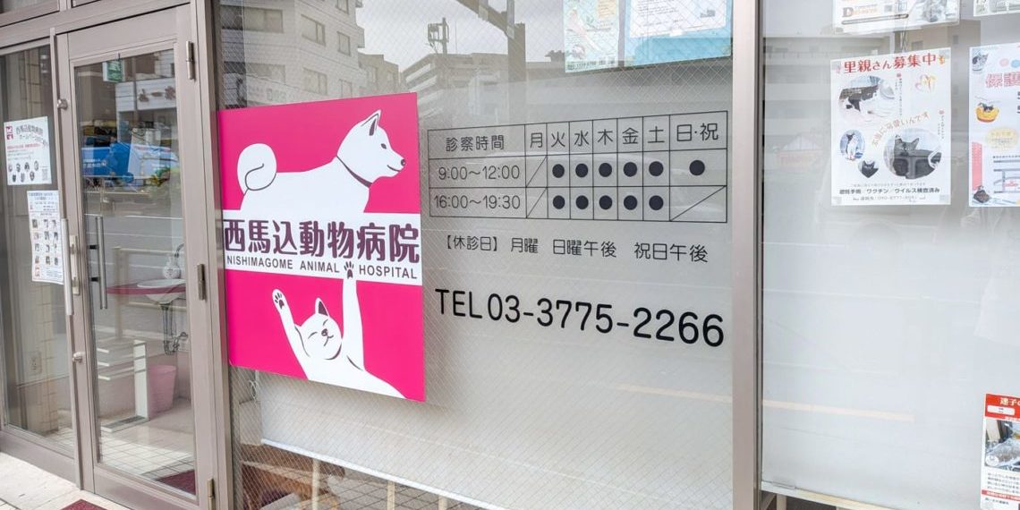 西馬込動物病院