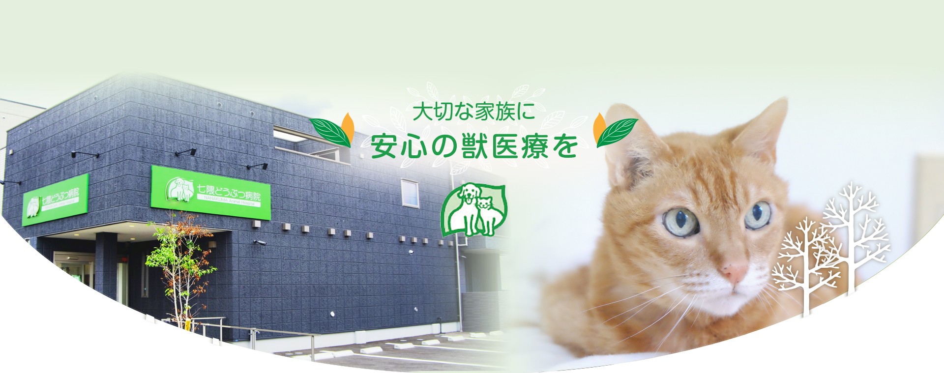 七隈どうぶつ病院