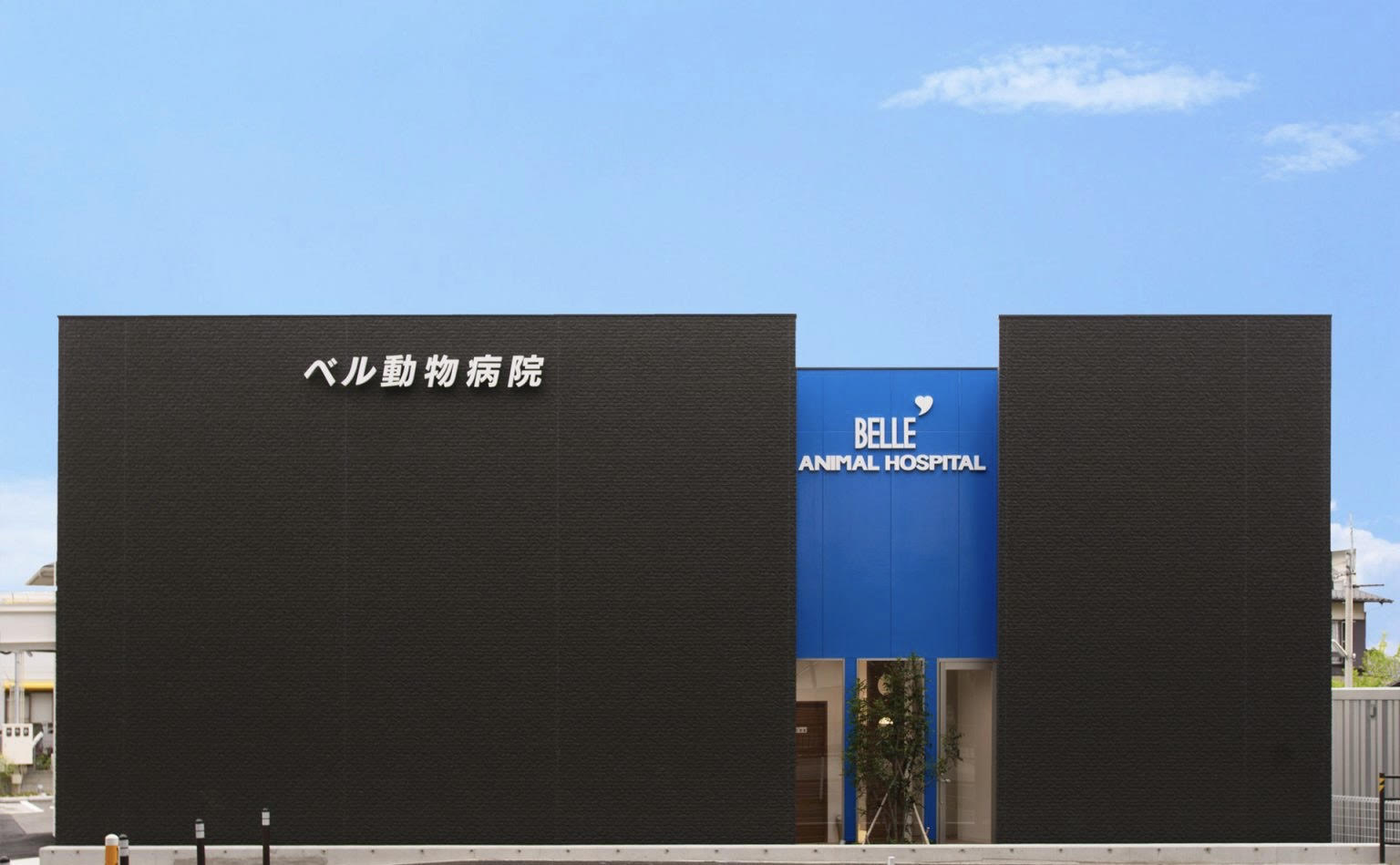 ベル動物病院