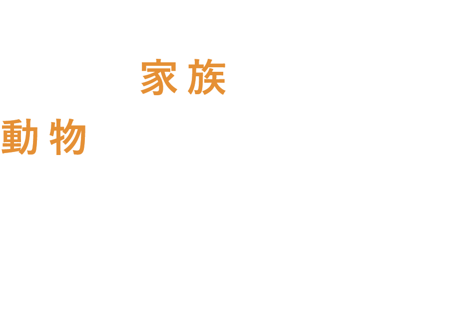 ベトカム動物病院