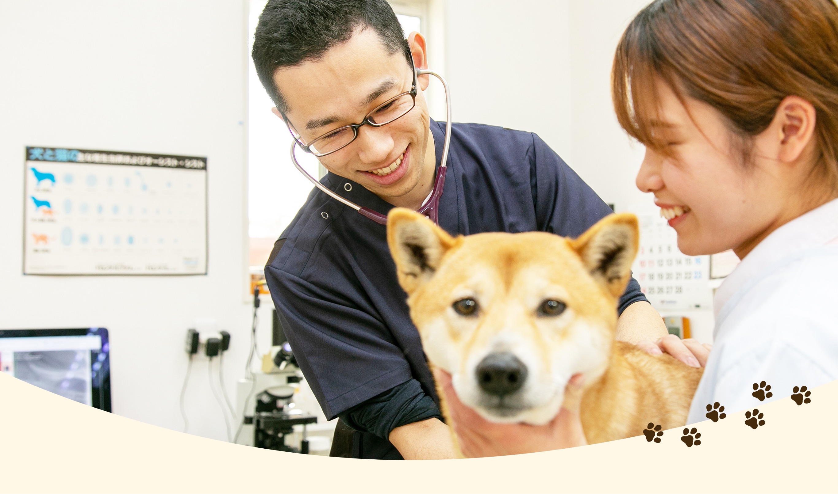 白木原動物病院