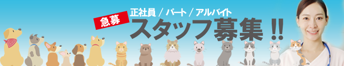 かいづ動物病院