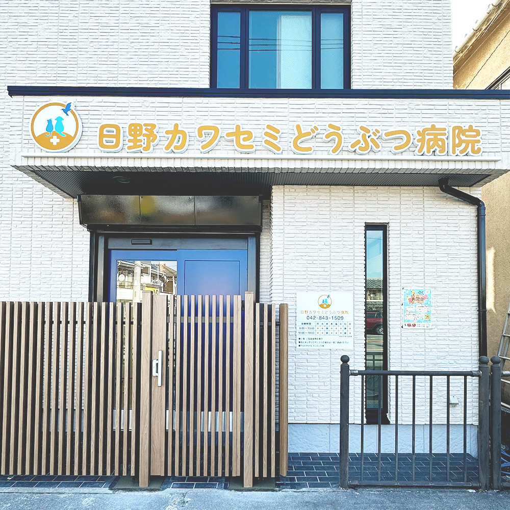日野カワセミどうぶつ病院