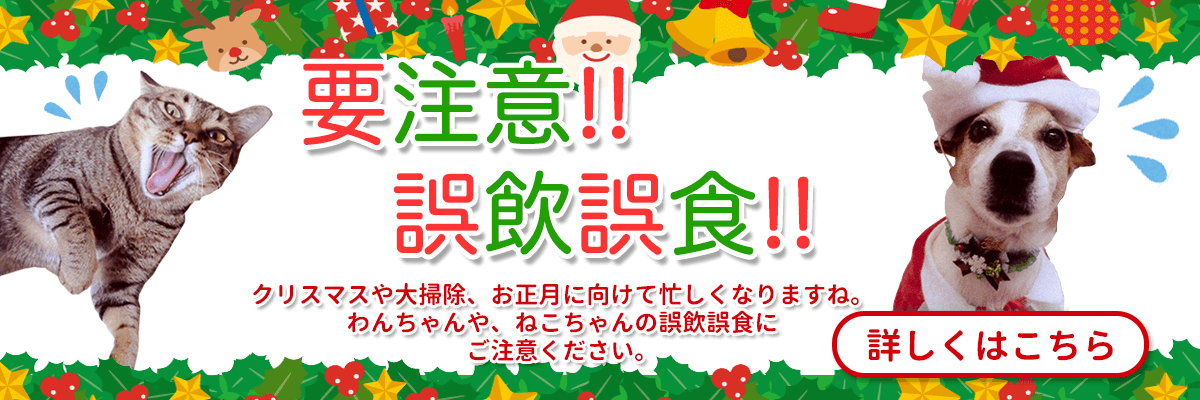 川端どうぶつ病院