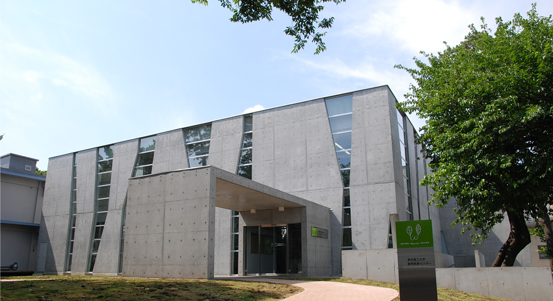 東京農工大学動物医療センター