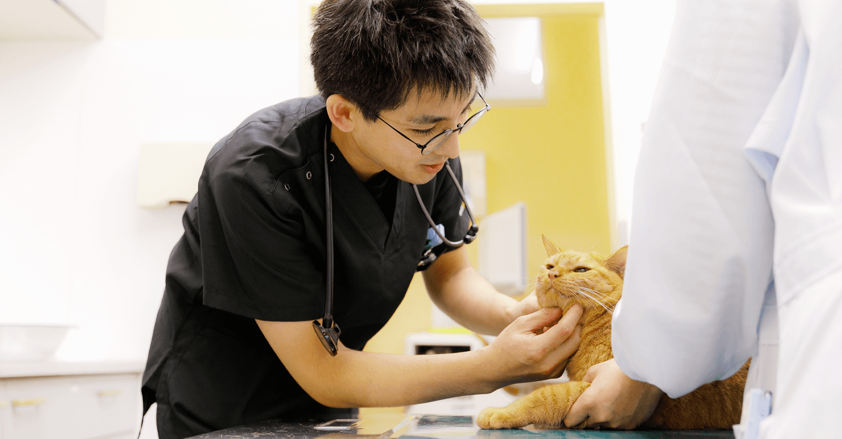 まこと犬と猫の病院