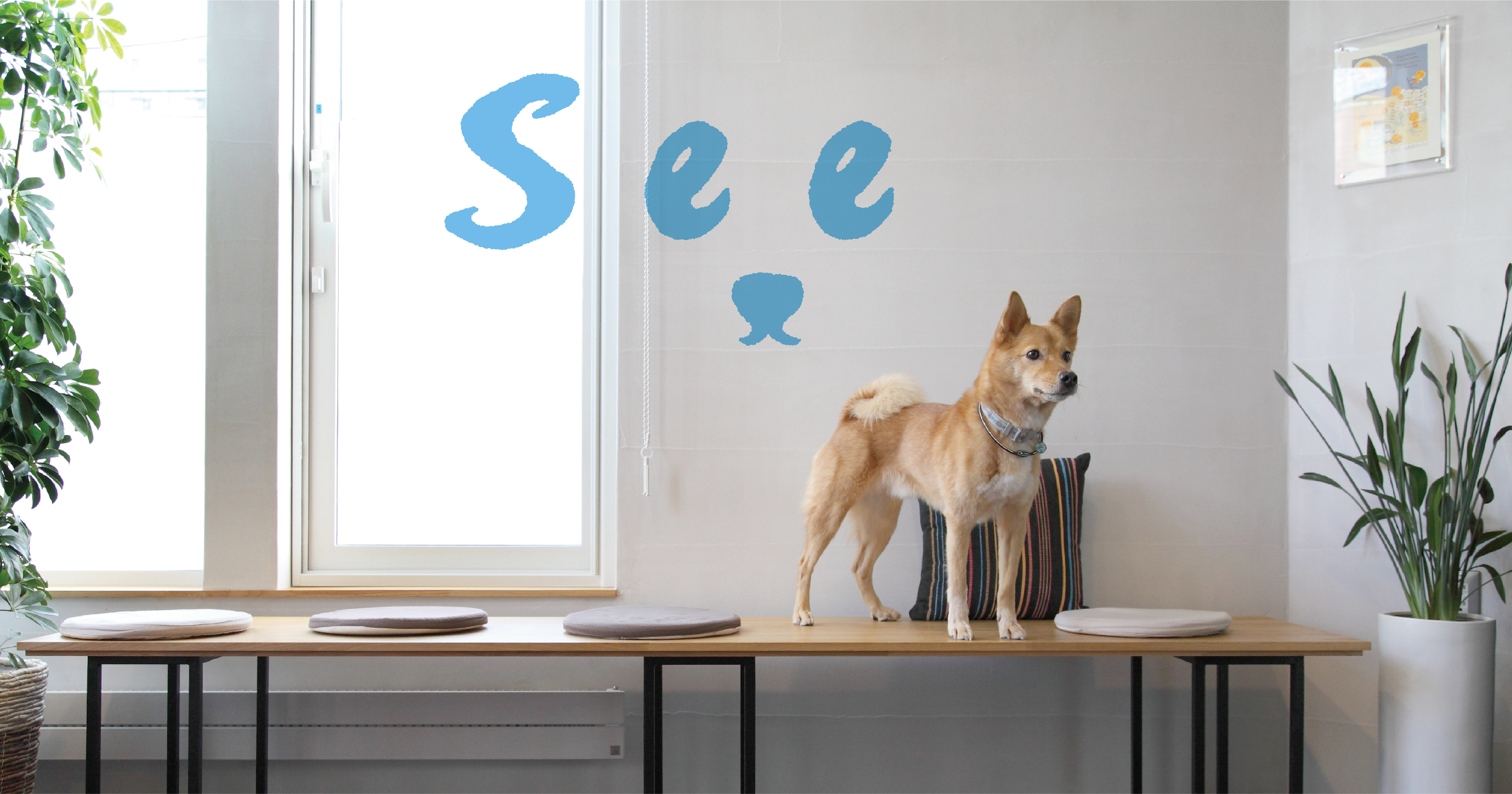 シー・アニマルクリニック