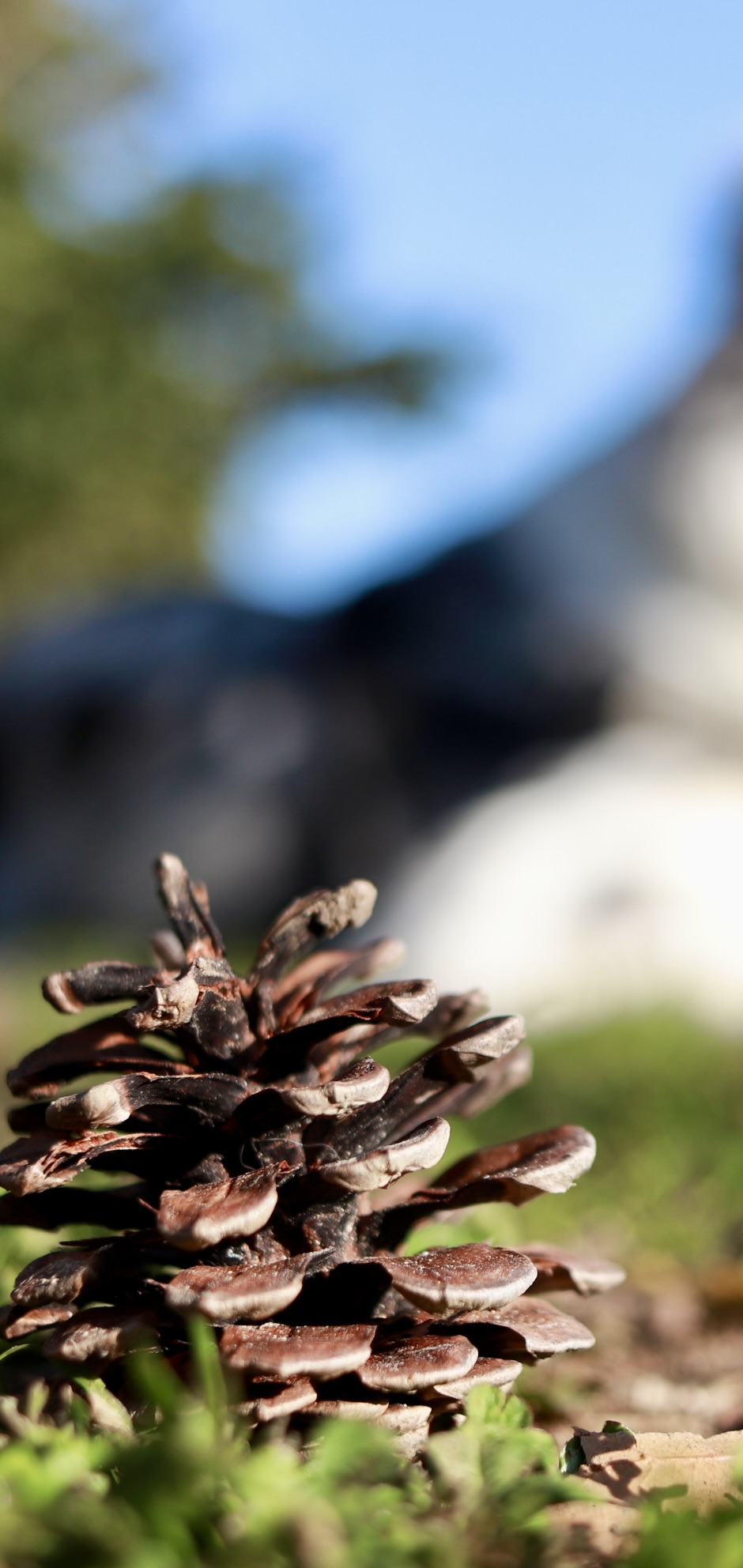 南住吉どうぶつ病院