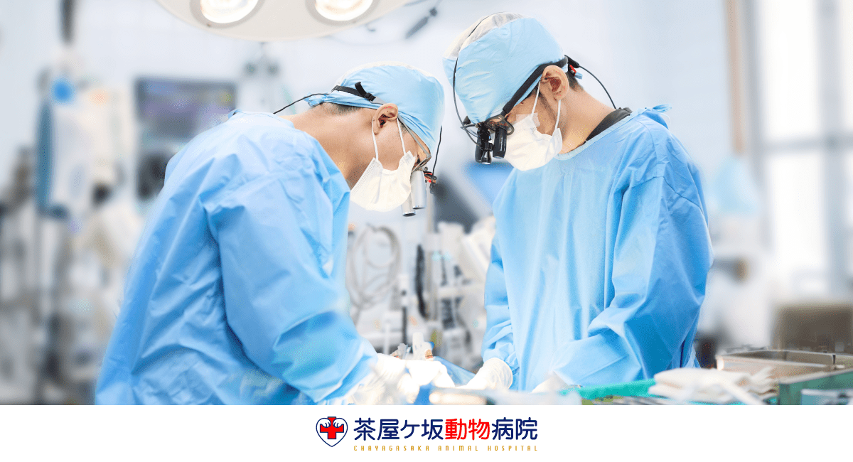 茶屋ヶ坂動物病院