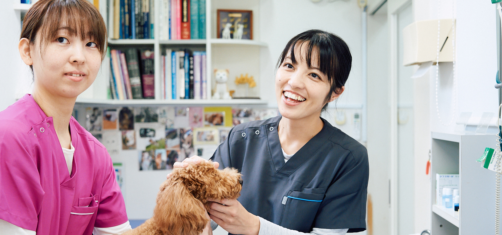 なかまる動物病院