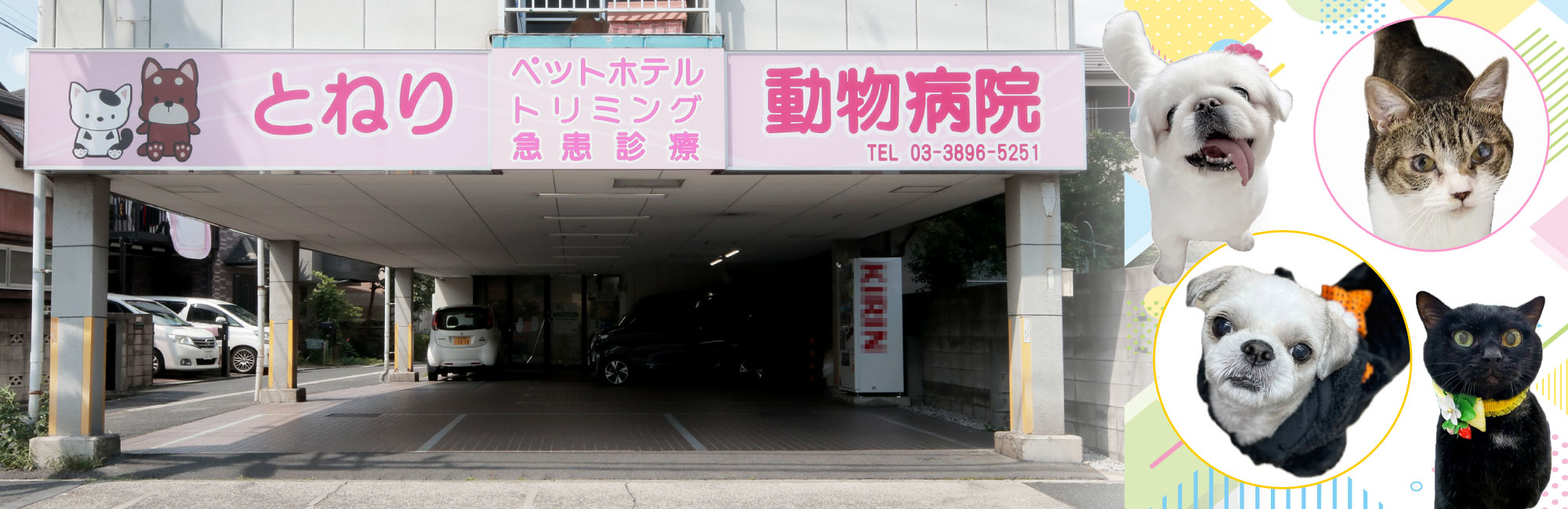 とねり動物病院