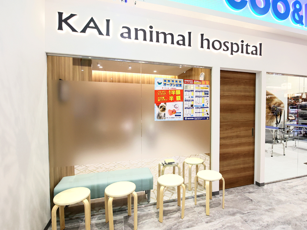 海動物病院　南柏往診所