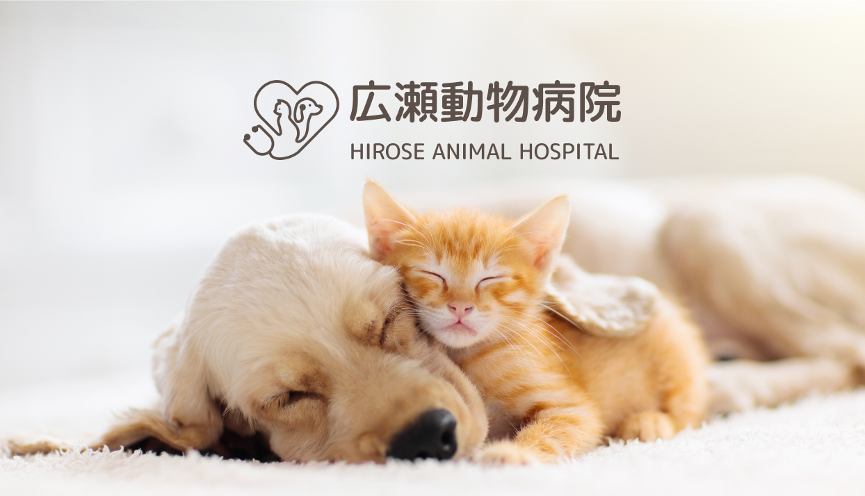広瀬動物病院
