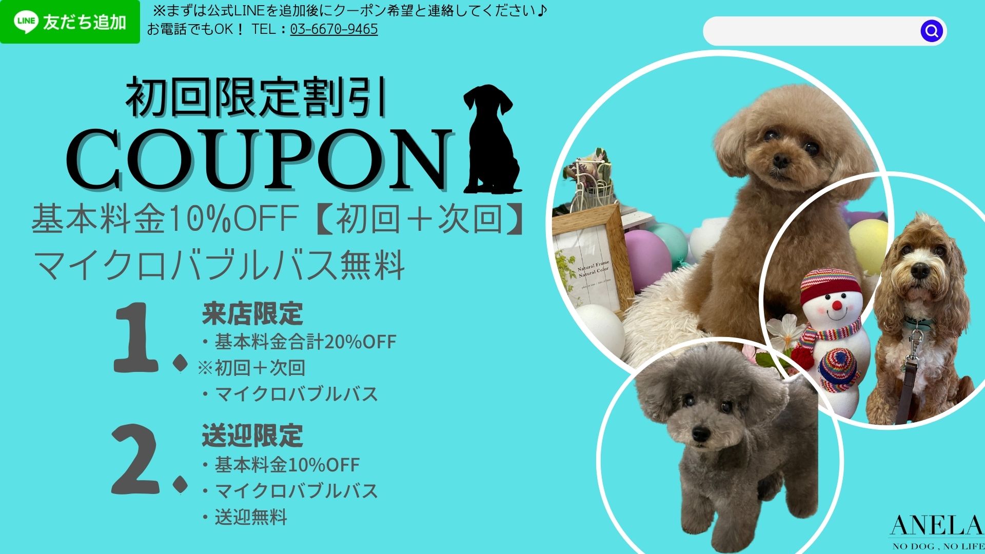 トリミングサロンアネラ 足立店