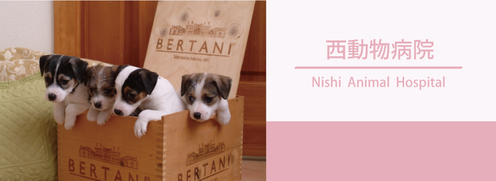 西動物病院