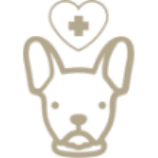 往診専門 ささどうぶつ病院