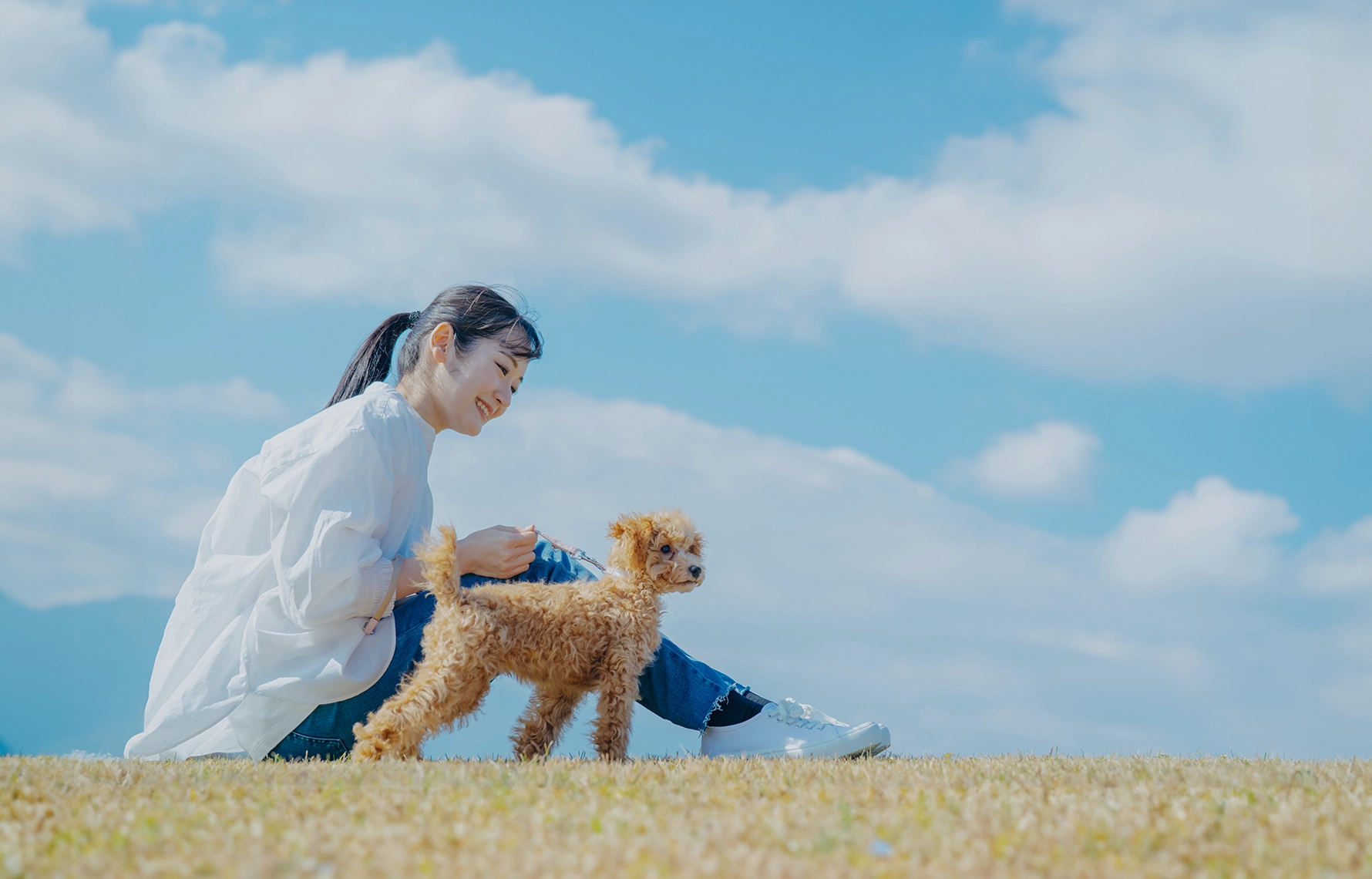きび動物クリニック