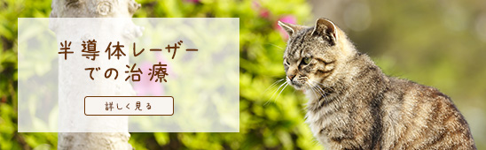 中の道動物病院