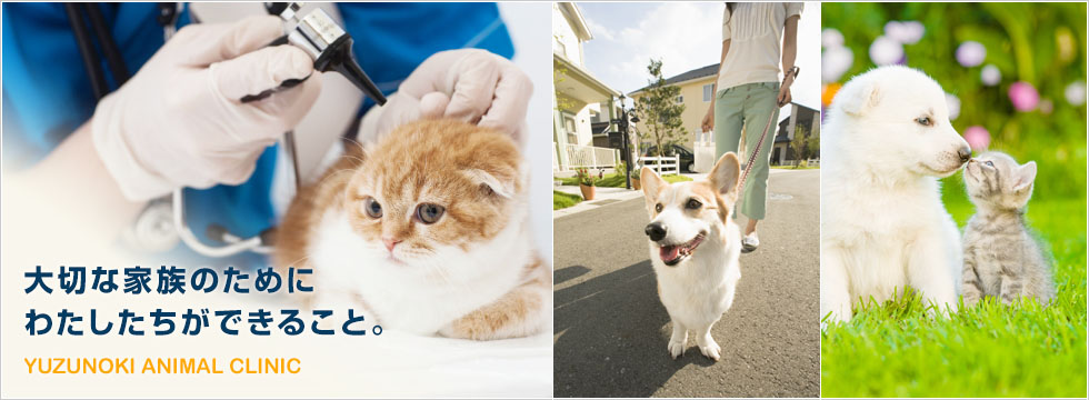 ゆずの木どうぶつクリニック