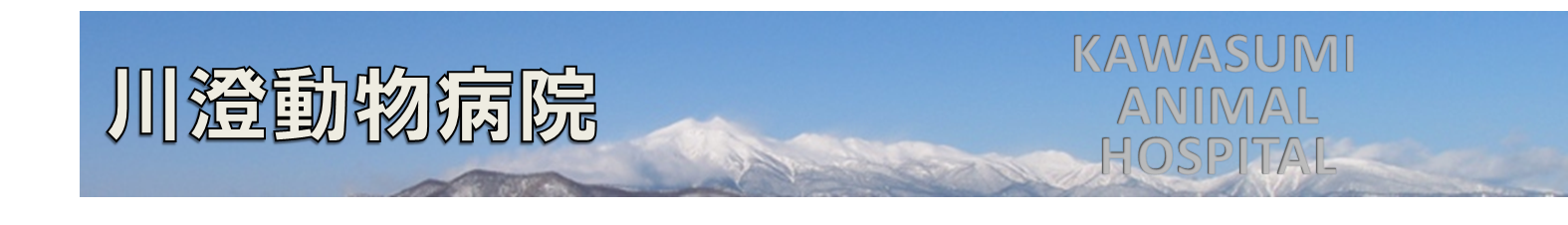 川澄動物病院