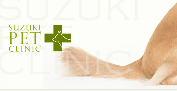鈴木ペットクリニック