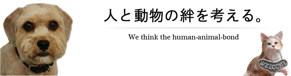 きゅうたん犬猫病院