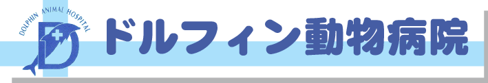 ドルフィン動物病院