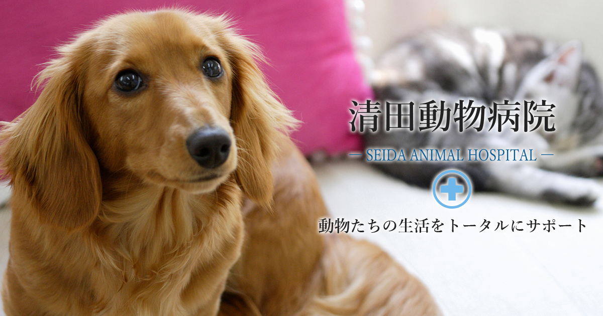 清田動物病院