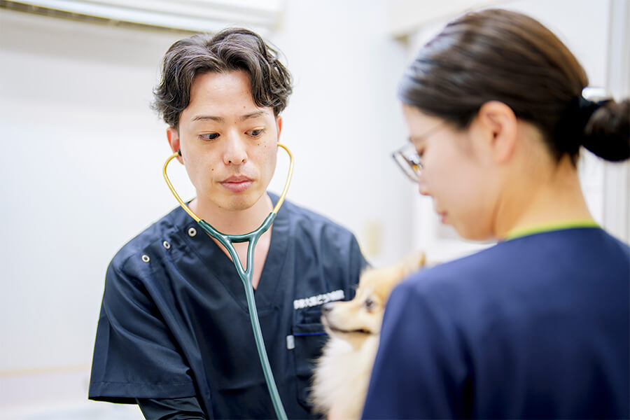 多摩大塚どうぶつ病院