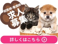 大師前どうぶつ病院