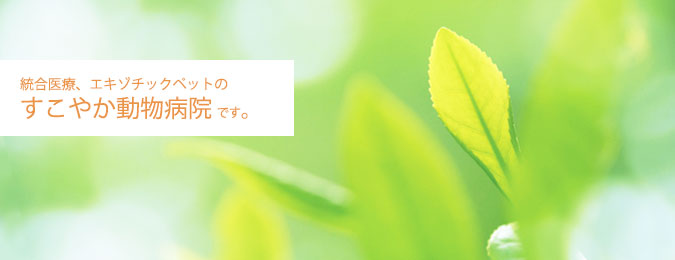 すこやか動物病院 大久保駅北口病院