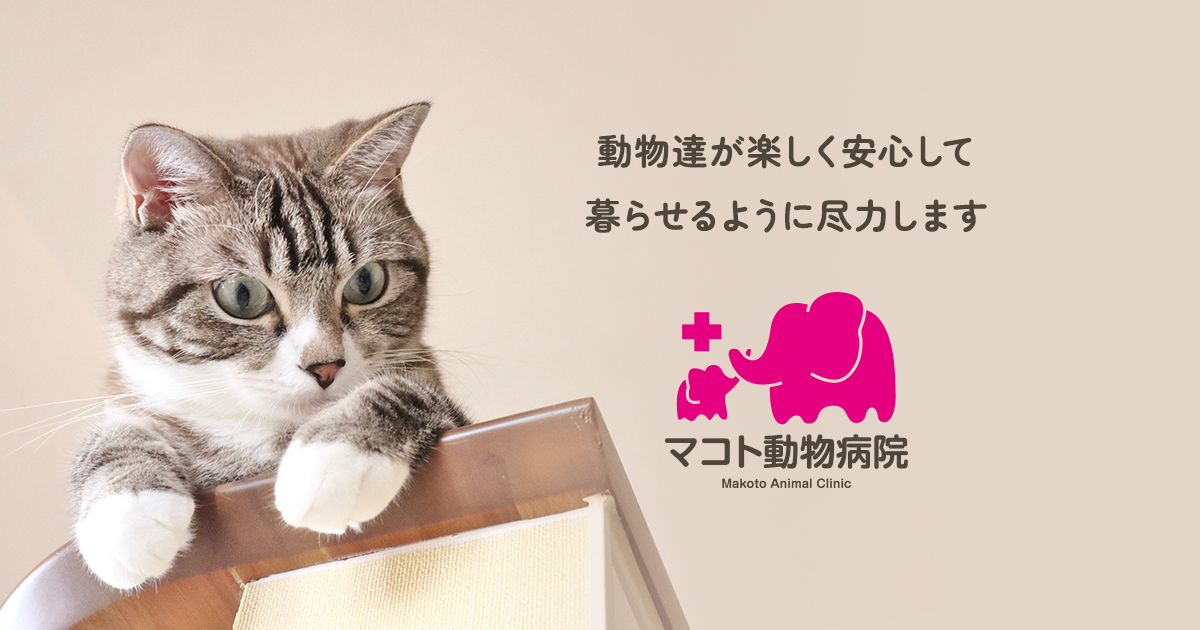 マコト動物病院